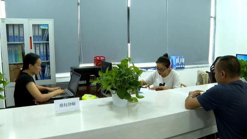 南溪眼鏡銷售法律咨詢服務(wù) 律師現(xiàn)場坐班，免費為您答疑解惑