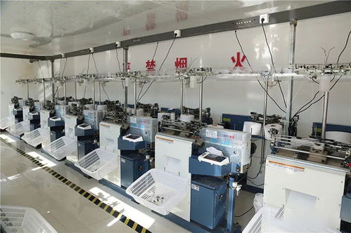 烏審旗嘎查村集體經(jīng)濟(jì) 多元住宿服務(wù)百花齊放